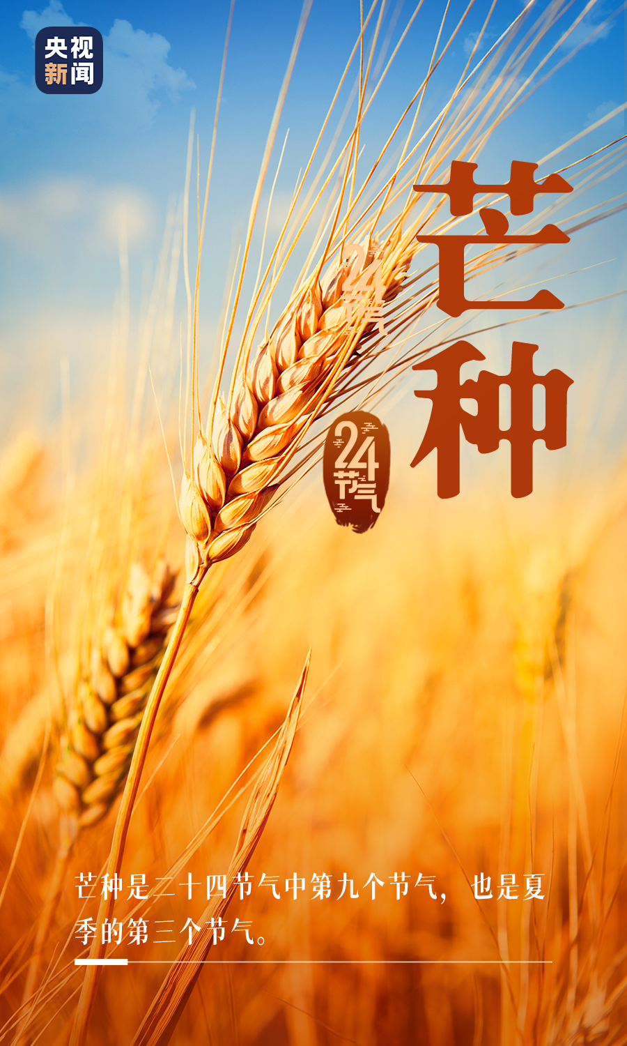 微信图片_20220606092258.png