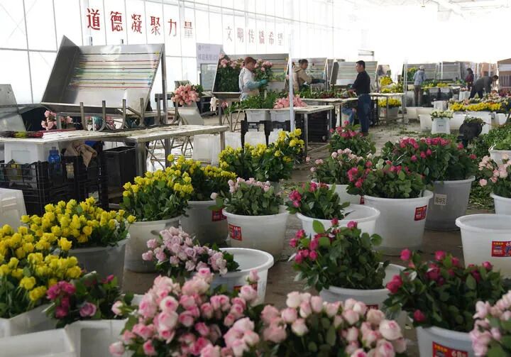 1762223998191032719.jpg 640 (3).jpg